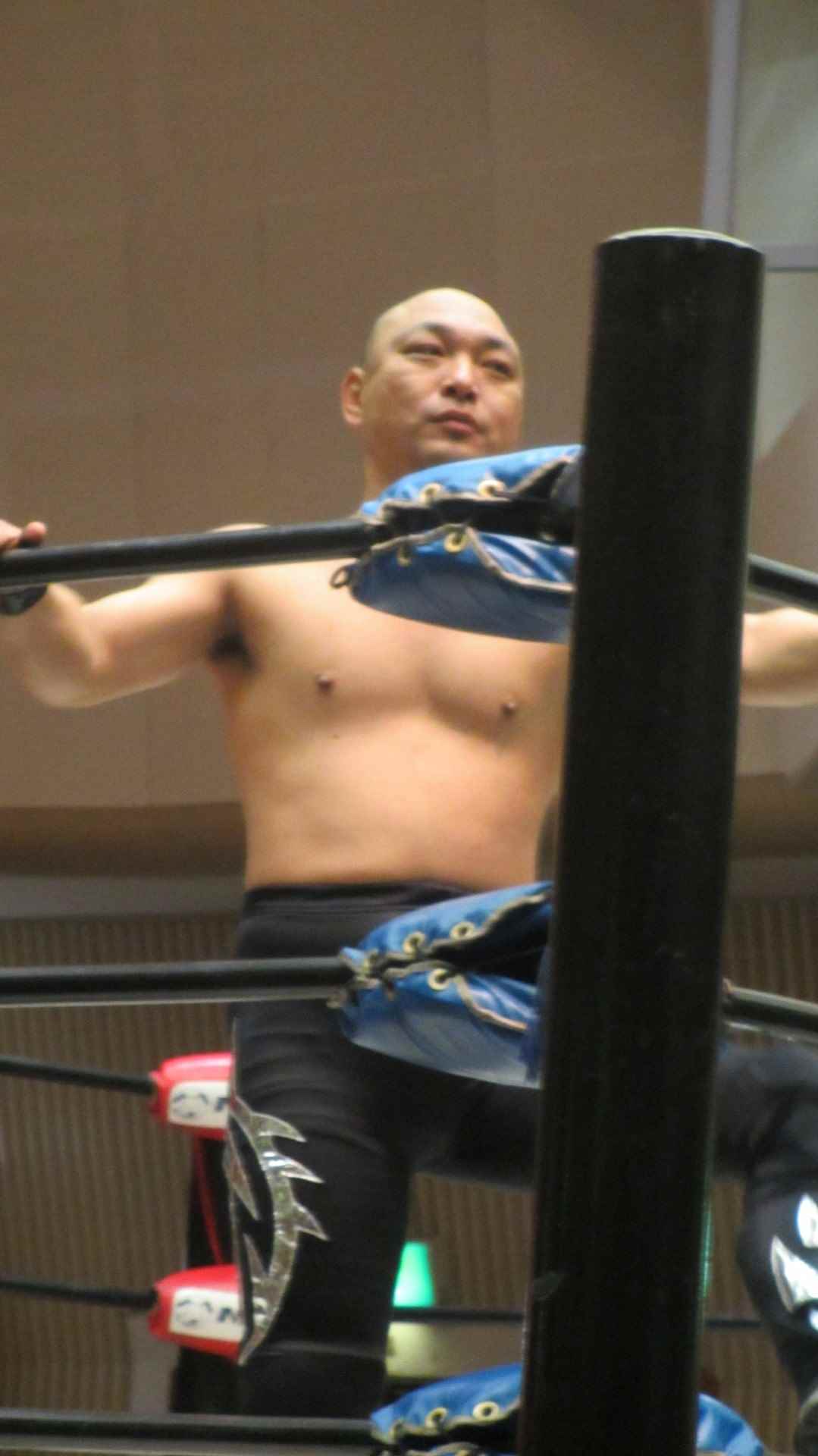Wrestler Tadanobu Fujisawa
