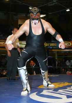 Wrestler Puma King
