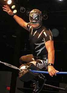 Wrestler Pantera (Francisco Javier Pozas)